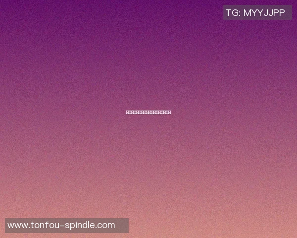 篮球明星里昂的传奇故事与辉煌成就揭秘