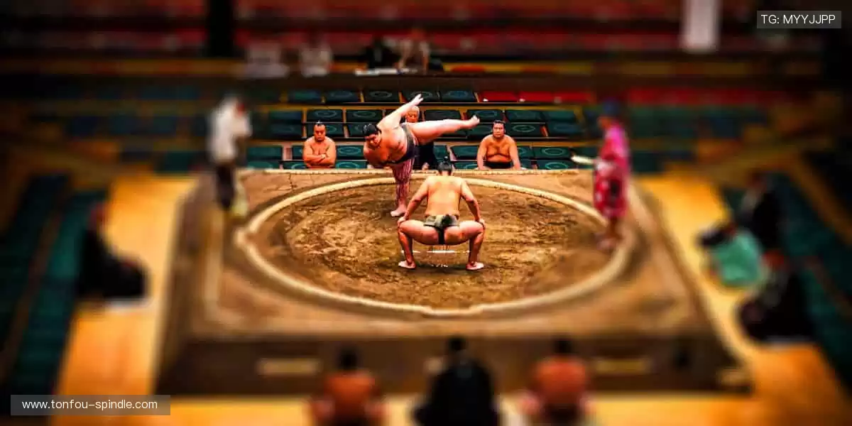 💻【直播平台】实时弹幕互动，你不是一个人在观赛！